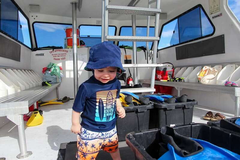 Destin: Snorkeling Cruise with 2 Stops and Dolphin Watching - Key Points Before You Go