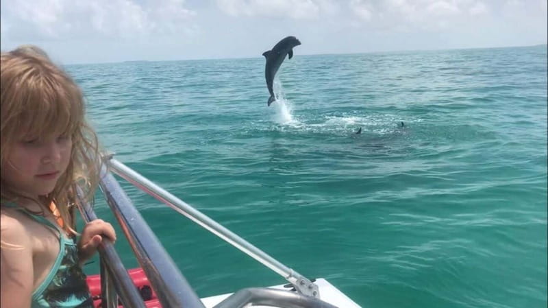 Destin: Snorkeling Cruise with 2 Stops and Dolphin Watching - What to Bring (So You’re Comfortable All Day)