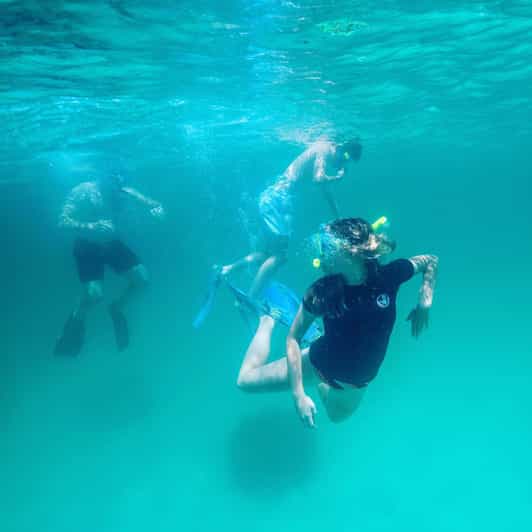 Destin: Snorkeling, Dolphins, and Crab Island - Key reasons this Destin charter feels worth it