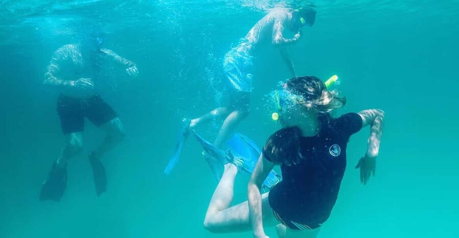 Destin: Snorkeling, Dolphins, and Crab Island - How the timing works: 3 hours vs 8 hours (and why it matters)