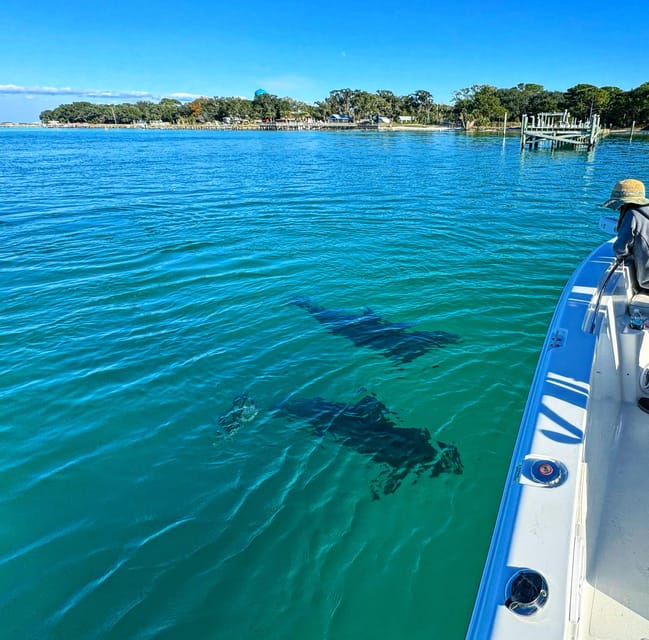 Destin: Snorkeling, Dolphins, and Crab Island - Quiet beaches and open-water cruises when you want less noise