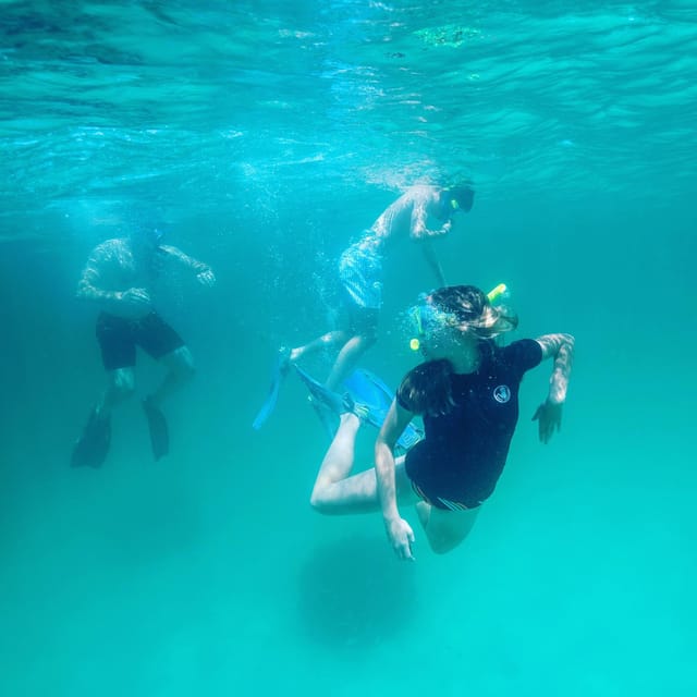 Destin: Snorkeling, Dolphins, and Crab Island - Captain Cory’s style: pacing, wildlife finding, and real people energy