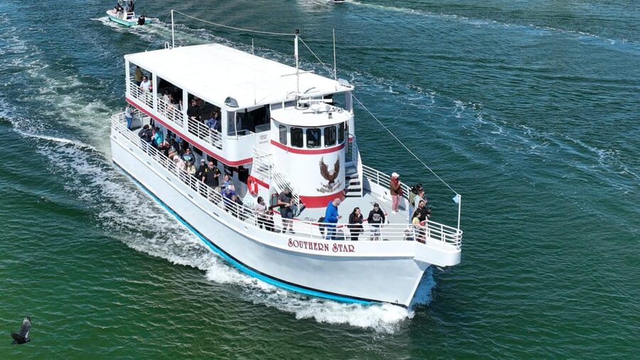 Destin: Sunset Dolphin Cruise - Learning the pods: why the commentary adds value