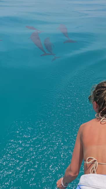 Dhiffushi Dolphin Cruise - Key things that make this cruise worth your time