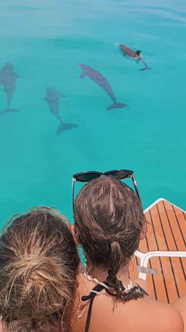 Dhiffushi Dolphin Cruise - Why a Dhiffushi sunset dolphin cruise feels like Maldives