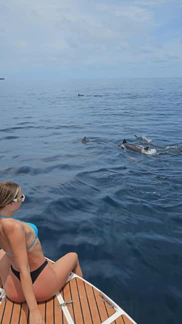 Dhiffushi Dolphin Cruise - The main spotting time: how dolphins near the island vs 15 minutes out changes the game