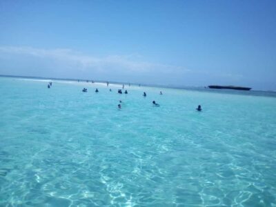 Diani: Wasini Island Dolphin Watching and Snorkeling Tour - Morning pick-up, Shimoni docks, and the Arabic dhow cruise feel