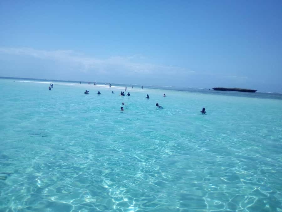 Diani: Wasini Island Dolphin Watching and Snorkeling Tour - Morning pick-up, Shimoni docks, and the Arabic dhow cruise feel