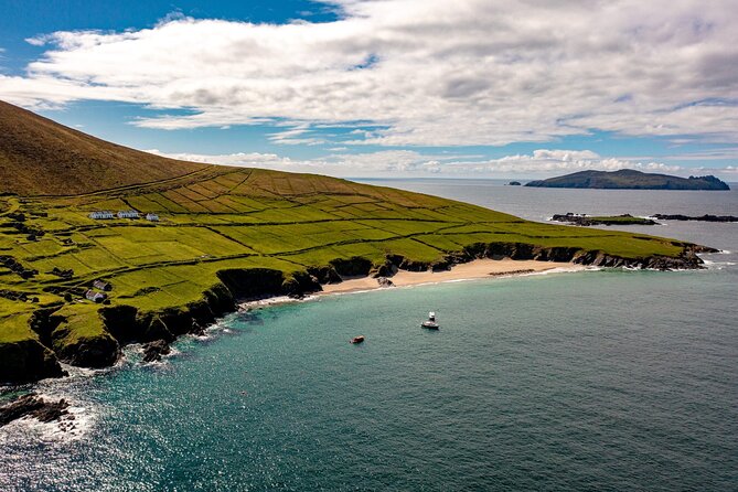 Dingle Dolphin Blasket Adventures - Key Highlights Worth Your Attention