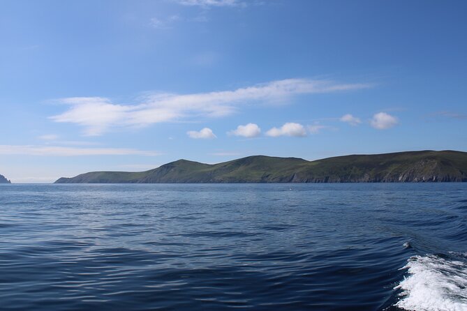 Dingle Dolphin Blasket Adventures - Why This Dingle Dolphin Cruise Works So Well