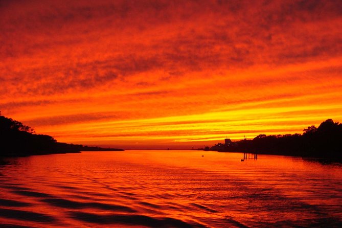 Dinner Cruise with Dolphin Watching from Cape May - Key Highlights You’ll Want to Know Before You Go
