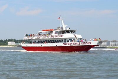 Dinner Cruise with Dolphin Watching from Cape May - The Delaware Bay Sunset: Why the Timing Drives the Magic