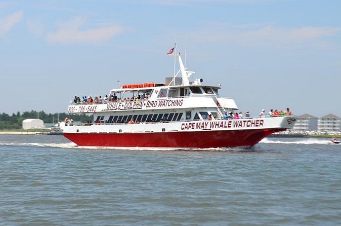 Dinner Cruise with Dolphin Watching from Cape May - FAQ