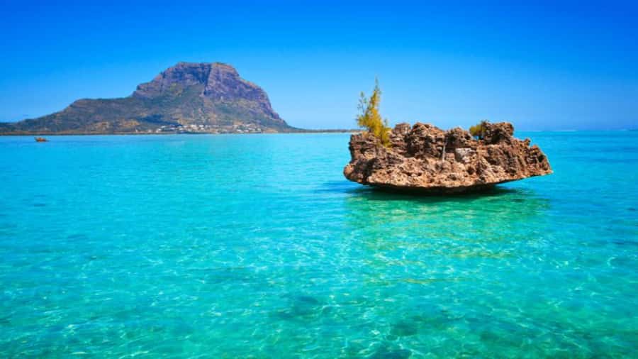 Discover Mauritius: Dolphin Watch, Snorkeling, BBQ Lunch - A Catamaran Day That Actually Feels Like a Day on the Water