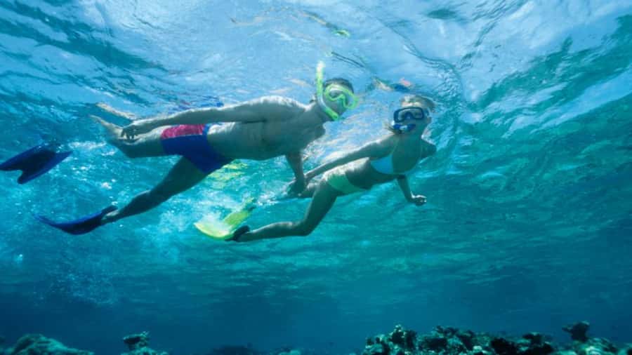 Discover Mauritius: Dolphin Watch, Snorkeling, BBQ Lunch - Where the Day Starts: Pickup From Around the Island