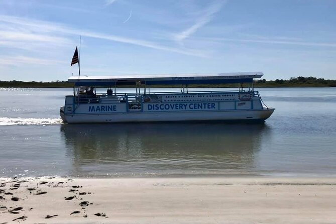 Discovery Dolphin Boat Tour - Quick hits before you go