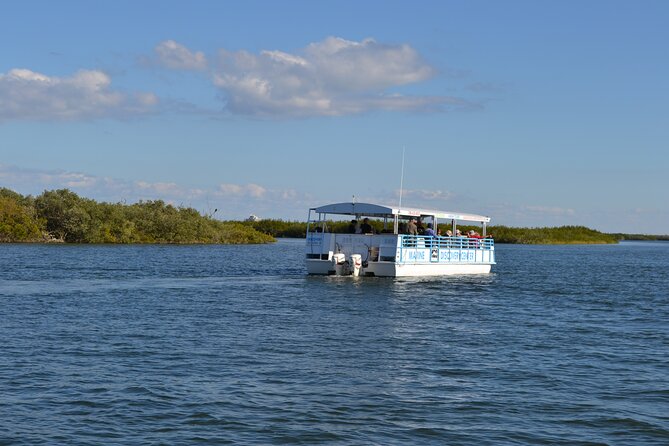 Discovery Dolphin Boat Tour - The main stop: cruising the lagoon backwaters (and why the “slow” matters)