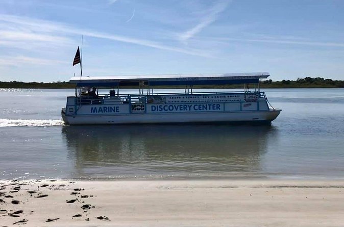 Discovery Dolphin Boat Tour - The naturalist narration: conservation you can actually use
