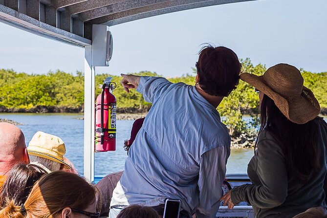 Discovery Dolphin Boat Tour - Getting to 164 Causeway N and settling in on the pontoon