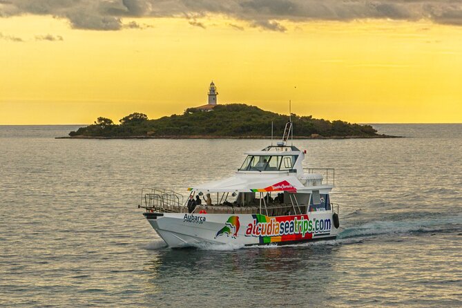 Dolphin Adventure: Fast Boat Dolphin Watching in Mallorca - Your Timing Reality Check: 3 Hours Can Become Around 4