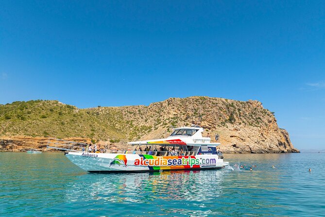 Dolphin Adventure: Fast Boat Dolphin Watching in Mallorca - Price and Value: Is $83.44 Worth It?