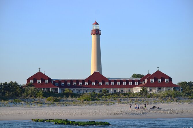 Dolphin and Bird Watching Ecotour Cruise - Key reasons this Cape May cruise is a smart pick