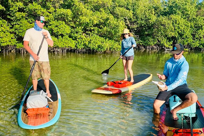 Dolphin and Manatee Adventure Tour of Fort Myers - Guide Style and Small-Group Energy With Eric (and Team)