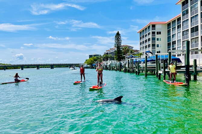 Dolphin and Manatee Adventure Tour of Fort Myers - When to Go: Tour Times, Weather Limits, and What Can Shorten the Trip