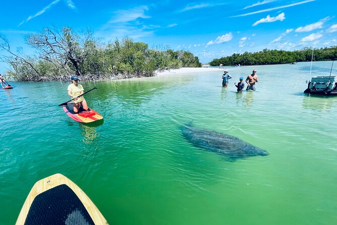 Dolphin and Manatee Adventure Tour of Fort Myers - Who This Tour Fits Best (and Who Might Want a Different Option)