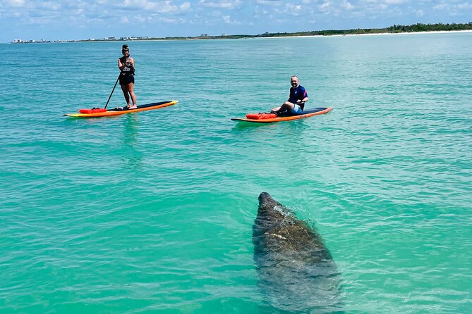 Dolphin and Manatee Adventure Tour of Fort Myers - Meeting at Bonita Springs and Getting Set Up With Minimal Stress