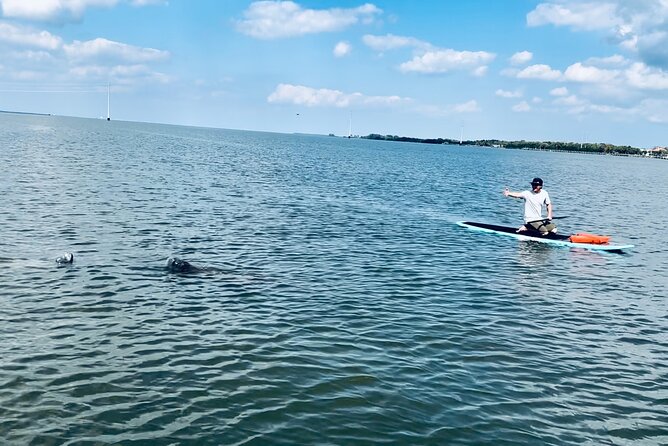 Dolphin and Manatee Adventure Tour of Merritt Island - Your Water Time: What the Tour Flow Feels Like