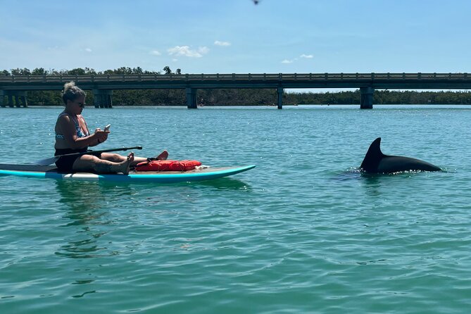 Dolphin and Manatee Adventure Tour of Naples with Florida History - Naples is one of Florida’s manatee-and-dolphin stops