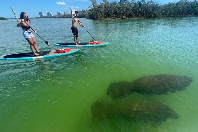 Dolphin and Manatee Adventure Tour of Naples with Florida History - Where you meet at 1969 County Rd 951 (and how to avoid delays)