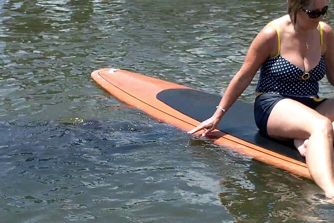 Dolphin and Manatee Adventure tour of Osprey with Florida History - Paddling Through Mangroves With Dolphins and Manatees