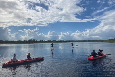 Dolphin and Manatee Adventure tour of Osprey with Florida History - Gear Included: Kayaks, Paddle Boards, and Life Vests