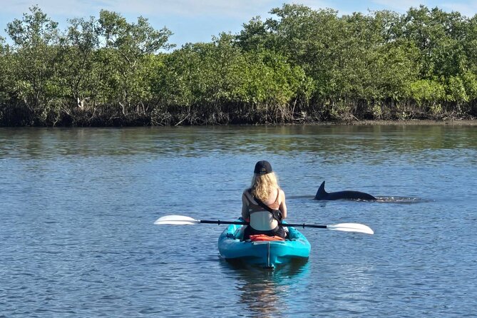 Dolphin and Manatee Adventure Tour of Sarasota with Olde Florida History! - What the Two Hours Feel Like (No Guesswork, Just the Flow)