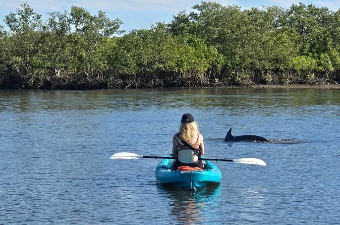 Dolphin and Manatee Adventure Tour of Sarasota with Olde Florida History! - Price and Value: What $65 Covers (and Why That Matters)