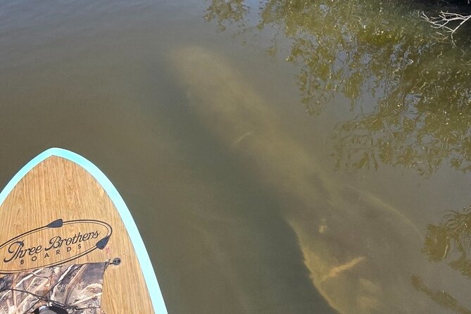 Dolphin and Manatee Adventure Tour of Sarasota with Olde Florida History! - Who This Tour Fits Best (And Who Might Want Another Option)