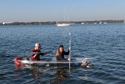 Dolphin and Manatee Clear Kayak or Paddleboard Tour - Choosing SUP vs Clear Kayak: Picking the Comfort Level That Fits You