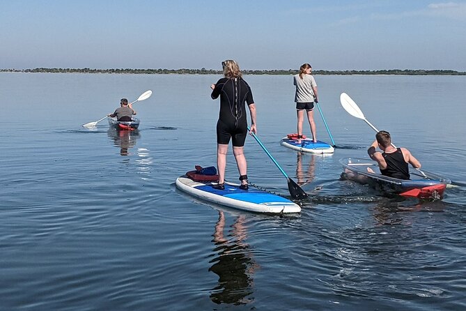 Dolphin and Manatee Clear Kayak or Paddleboard Tour - Small Group Energy: What It Changes When You Cap It at 15