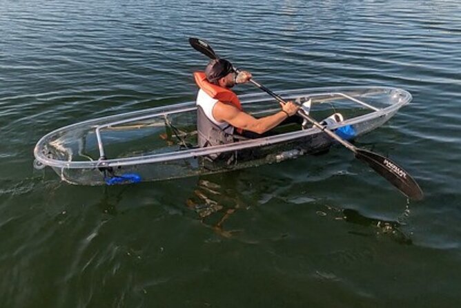 Dolphin and Manatee Clear Kayak or Paddleboard Tour - Meeting Point and Timing: Where You Start and What the End Feels Like