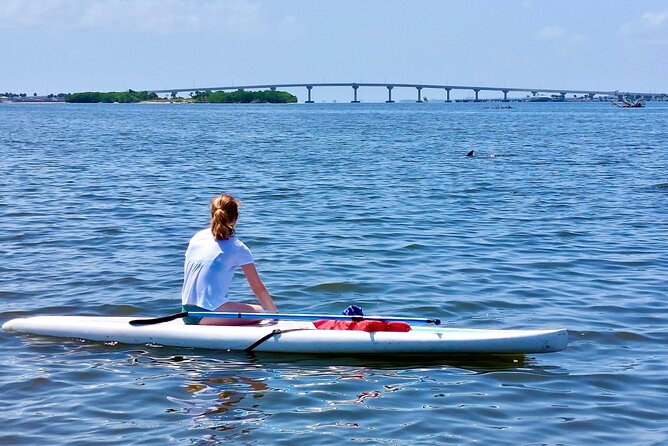 Dolphin and Manatee Clear Kayak or Paddleboard Tour - What to Know Before You Go (Comfort, Fitness, Pets, and Water Skills)