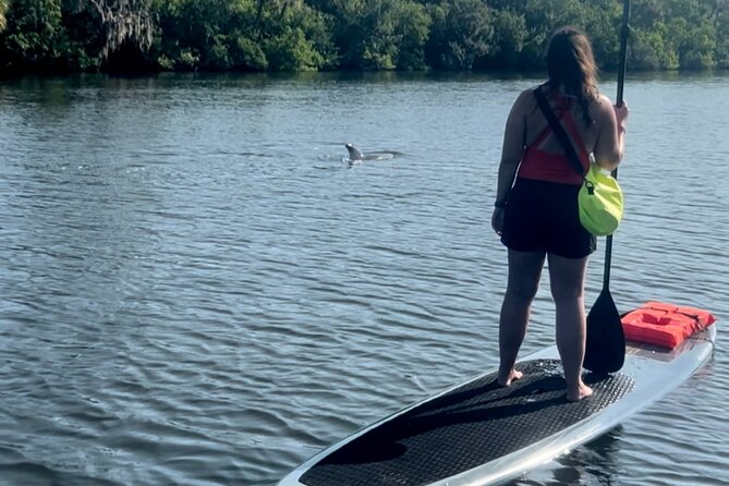 Dolphin and Manatee Kayak and SUP Adventure Tour of Cocoa Beach - Key Things You’ll Notice Right Away