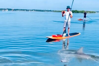 Dolphin and Manatee Kayak and SUP Adventure Tour of Cocoa Beach - Start Line: 4800 Tom Warriner Blvd and What You’re Set Up With
