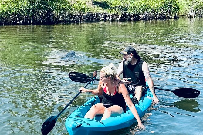 Dolphin and Manatee Kayak and SUP Adventure Tour of Cocoa Beach - Dolphins, Manatees, and What You Can Reasonably Expect