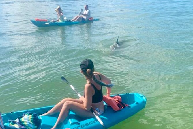 Dolphin and Manatee Kayak Tour of Daytona Beach - Key points to know before you go