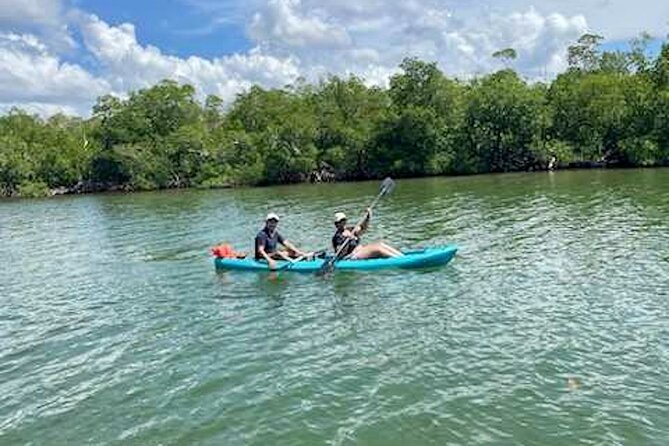 Dolphin and Manatee Kayak Tour of Daytona Beach - The route reality: wind, water traffic, and staying comfortable