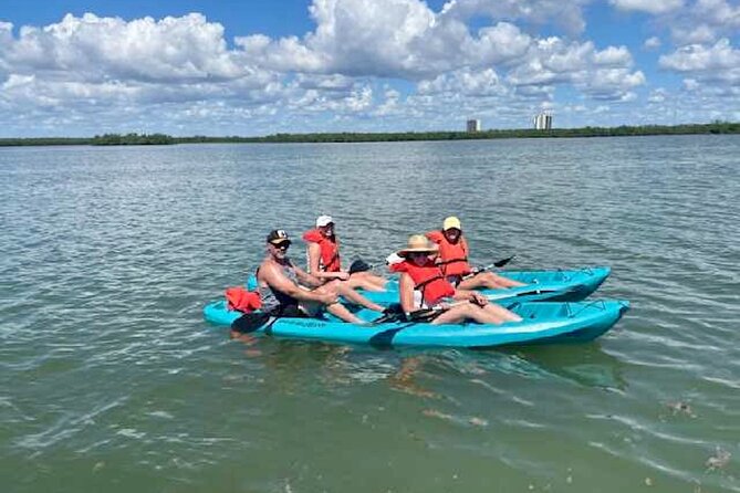 Dolphin and Manatee Kayak Tour of Daytona Beach - On the water for about 2 hours: what your morning likely looks like