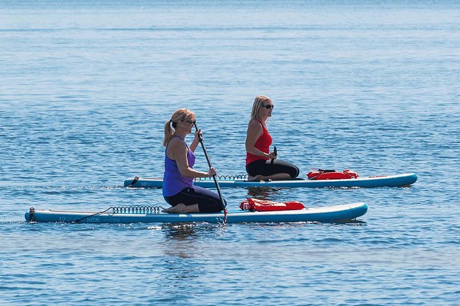 Dolphin and Manatee Stand Up Paddleboard Tour in Daytona Beach - Why Daytona’s canals work for manatees and dolphins