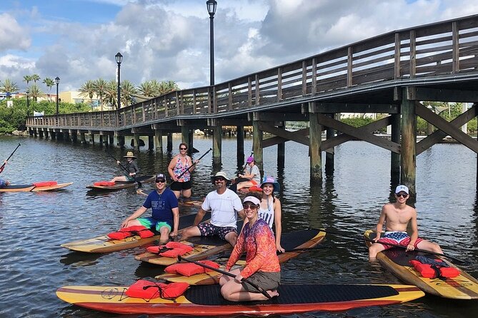 Dolphin and Manatee Stand Up Paddleboard Tour in Daytona Beach - The calm-bay lesson: how they help first-timers